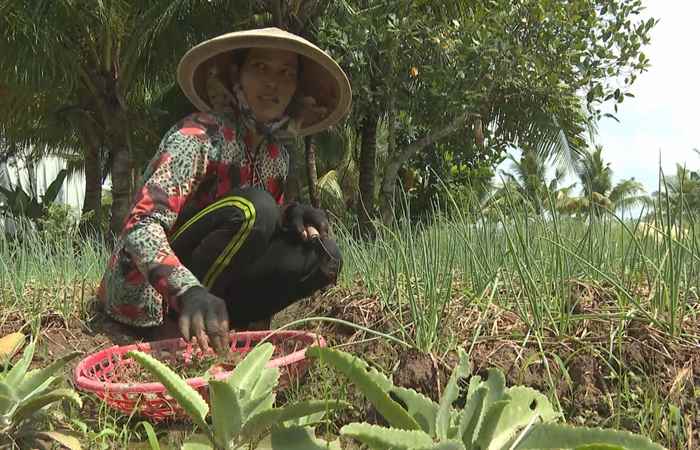 Triển khai các mô hình kết hợp lồng ghép các chương trình giúp dân giảm nghèo bền vững (08-11-2023)
